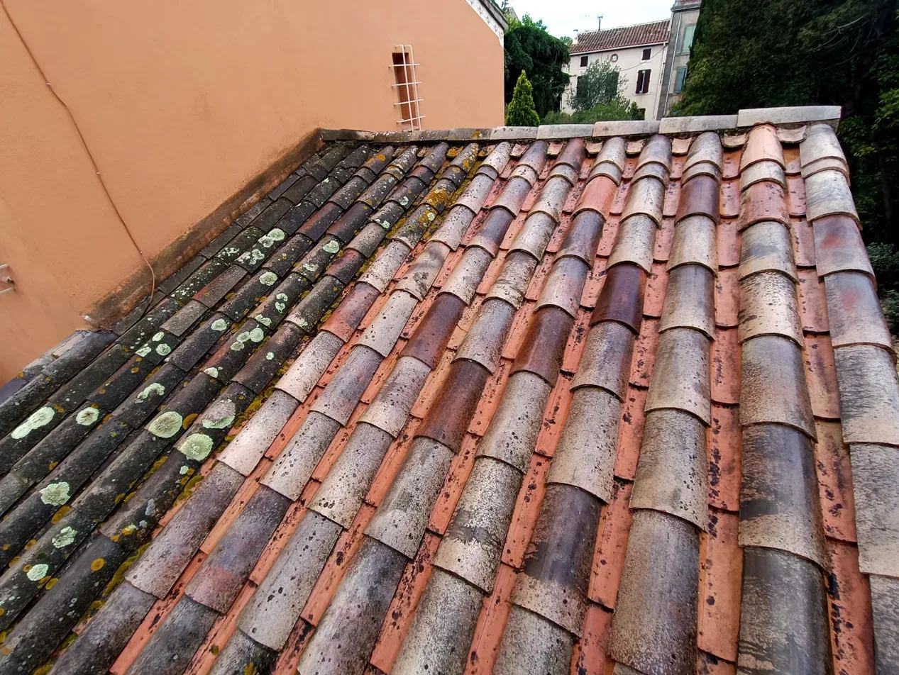 Toiture en tuiles avant/après démoussage : mousse et lichen à gauche, tuiles propres à droite